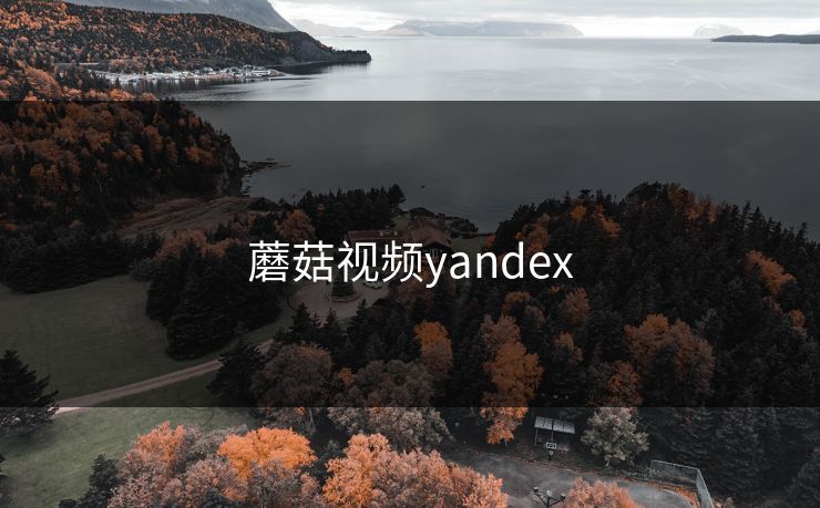 蘑菇视频yandex