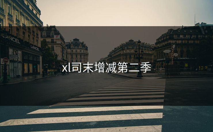 xl司末增减第二季