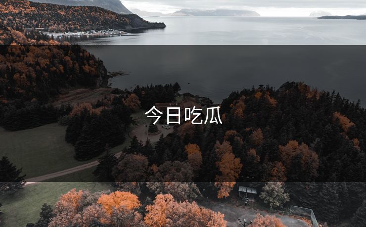 今日吃瓜