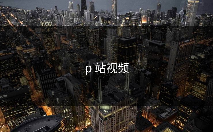 p 站视频 p 站视频