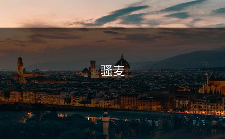 骚麦 骚麦