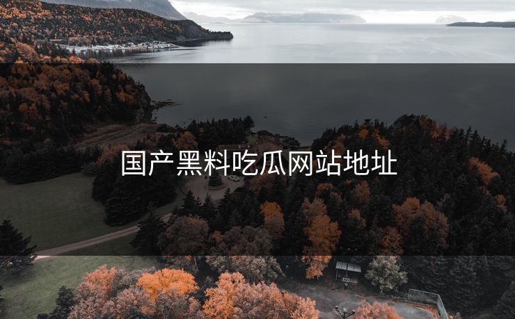 国产黑料吃瓜网站地址