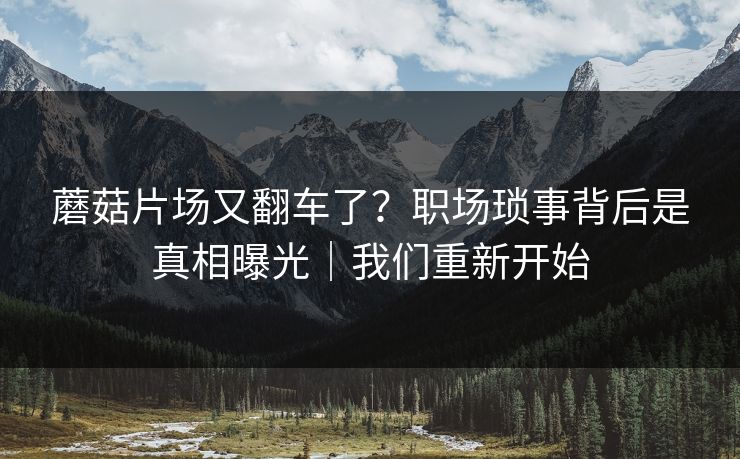 蘑菇片场又翻车了？职场琐事背后是真相曝光｜我们重新开始
